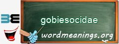 WordMeaning blackboard for gobiesocidae